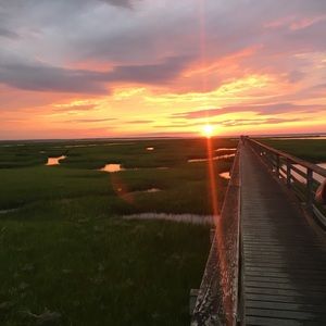 Meet your Posher, George